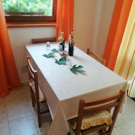 Apartment Goran Necujam
