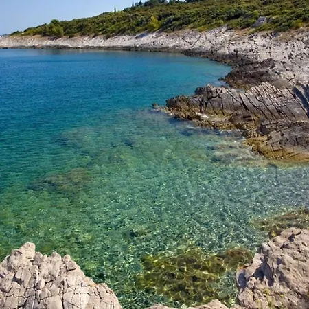 Apartman Goran Necujam